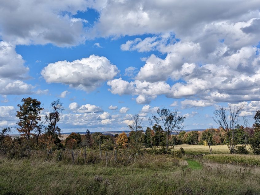 Open grassy fields and autumn trees across a rural country property in Ontario under a blue sky.